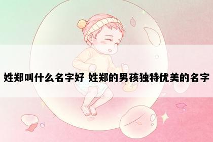 姓郑叫什么名字好 姓郑的男孩独特优美的名字
